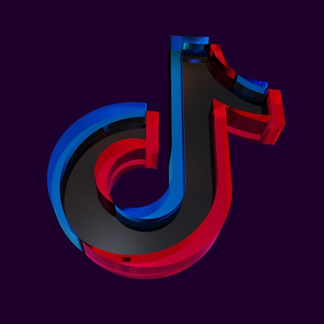 Is TikTok Adverteren De Moeite Waard?